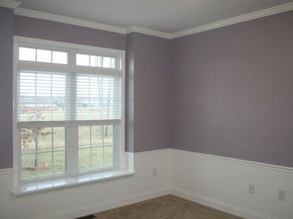 paint / plaster