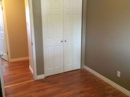 paint / plaster